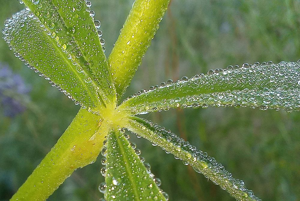 Photograph by Ирина Архипова