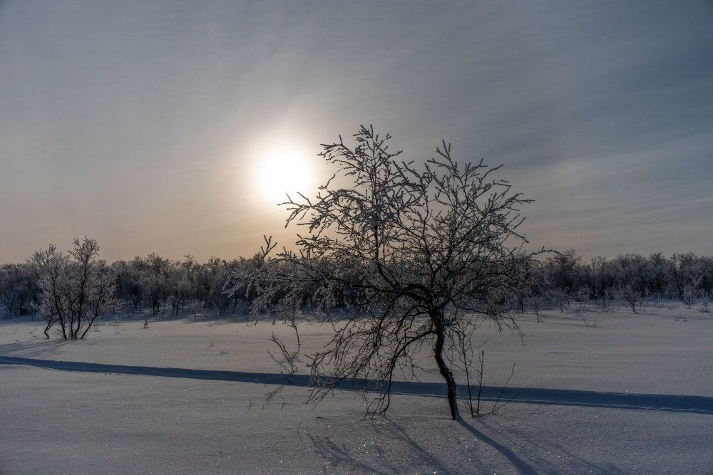 Photograph by Марина Зборацкая