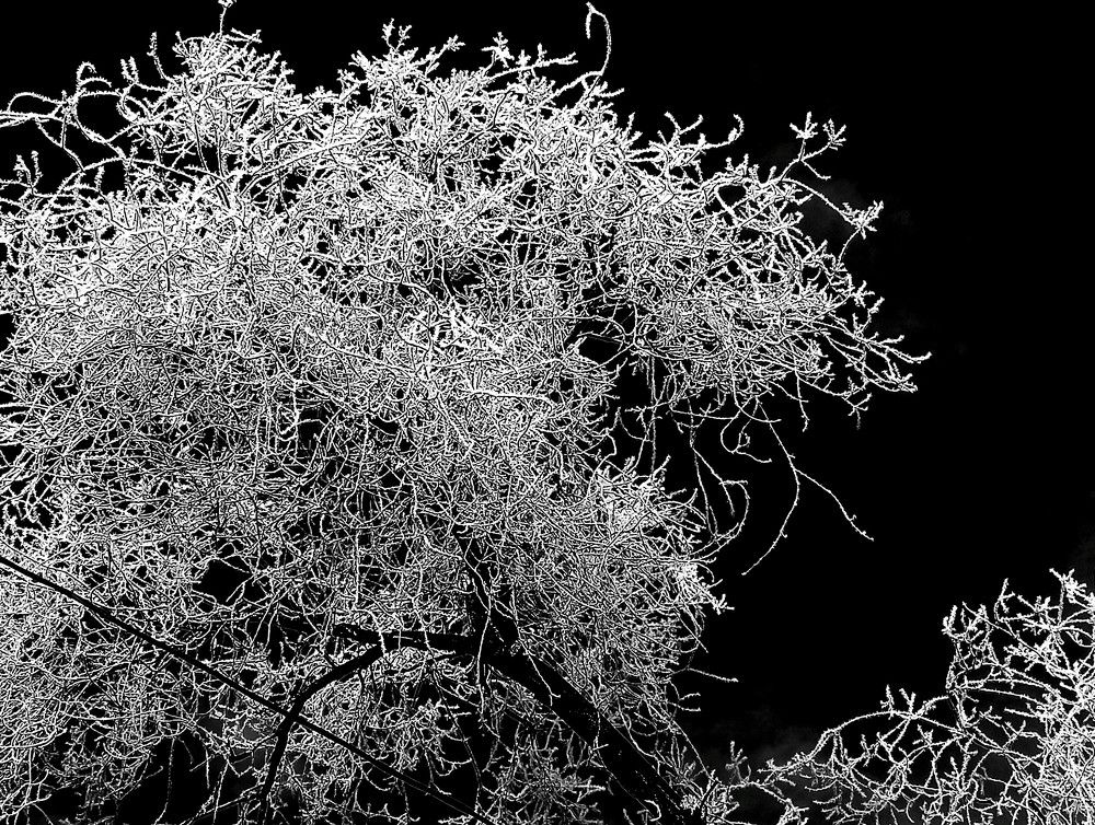 Photograph by Тамара Багровская