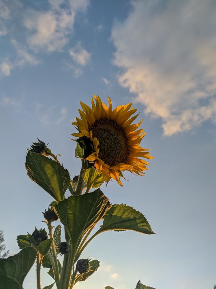 Photograph by Валерія Колосович