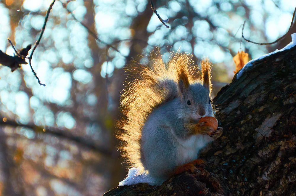 Photograph by Елена Кадаева