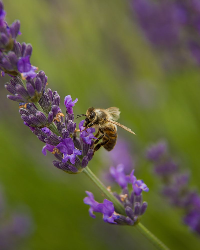 Photograph by Валерія Колосович