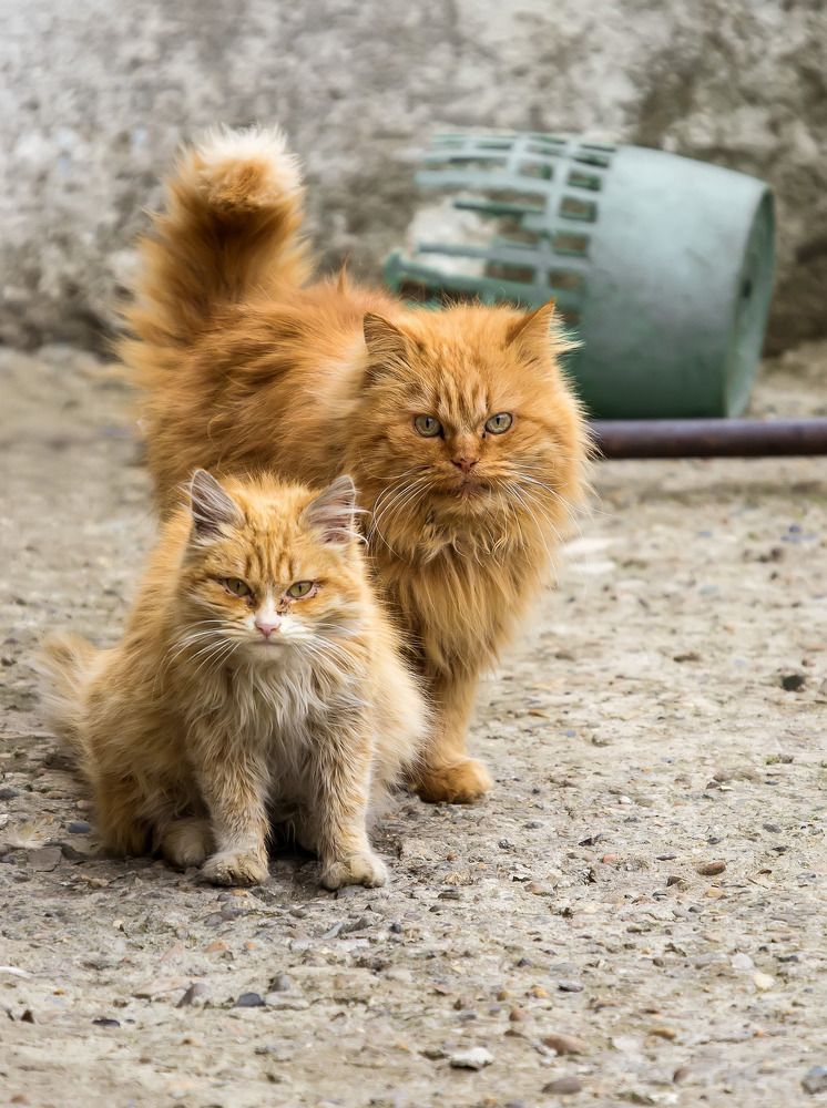 Photograph by Александр Земляной