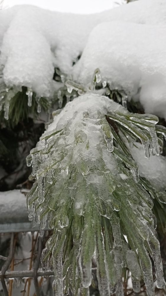 Photograph by Лилия Рыжанкова