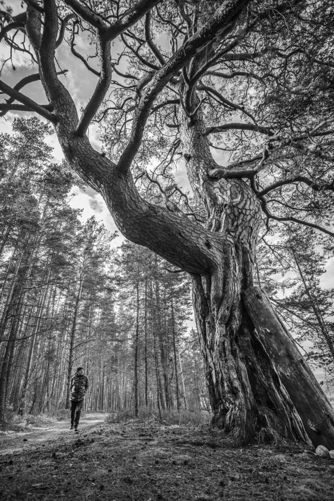 Photograph by Марина Александрова