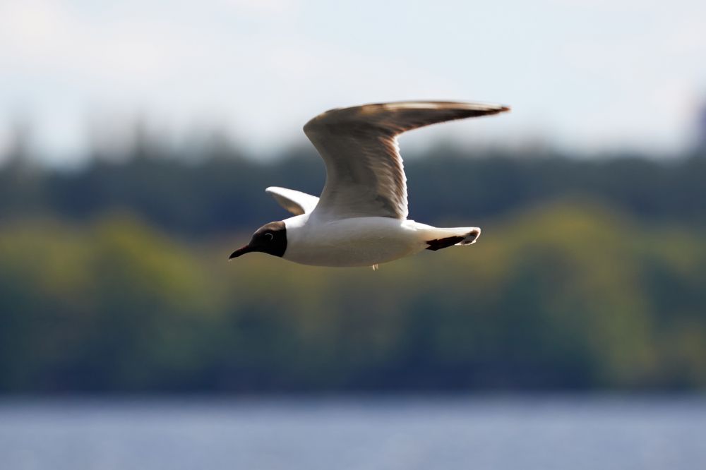 Photograph by Андрей Востриков