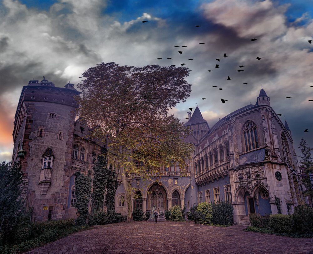 Photograph by Vladimir Jablanov