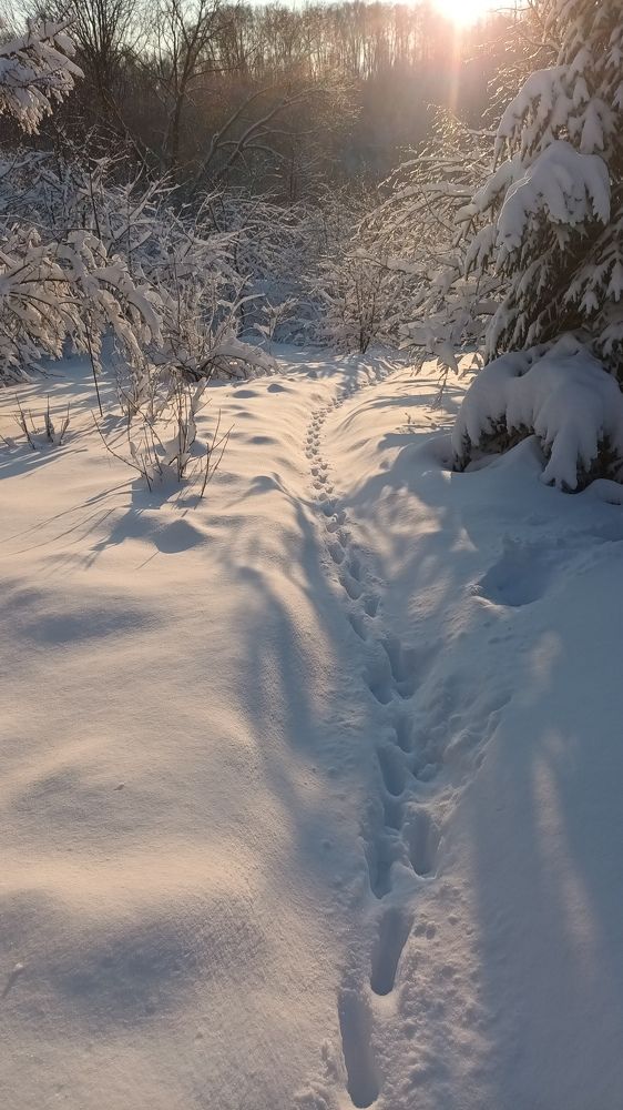 Photograph by Лилия Рыжанкова