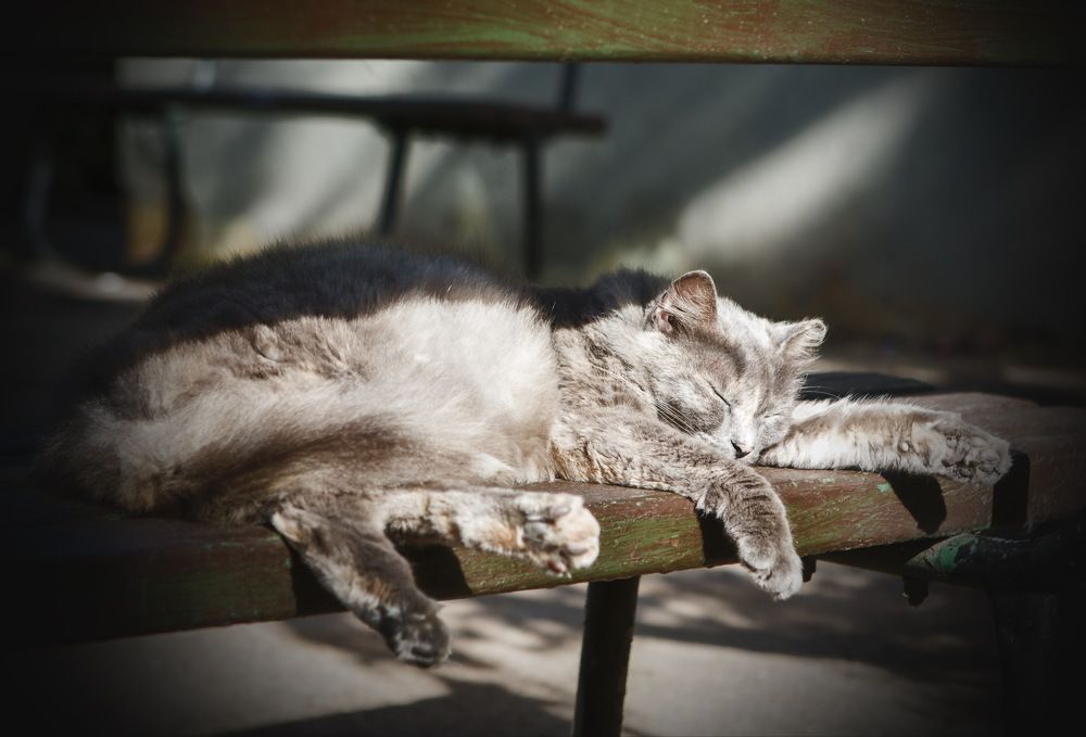 Photograph by Ольга Золототрубова