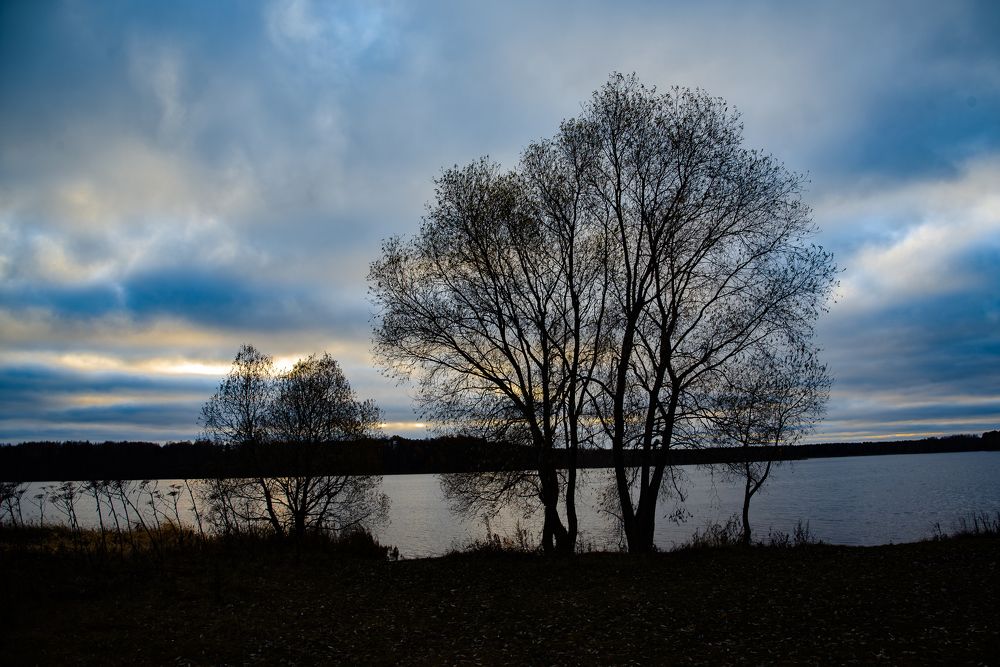 Фотография автора Войнов Дмитрий