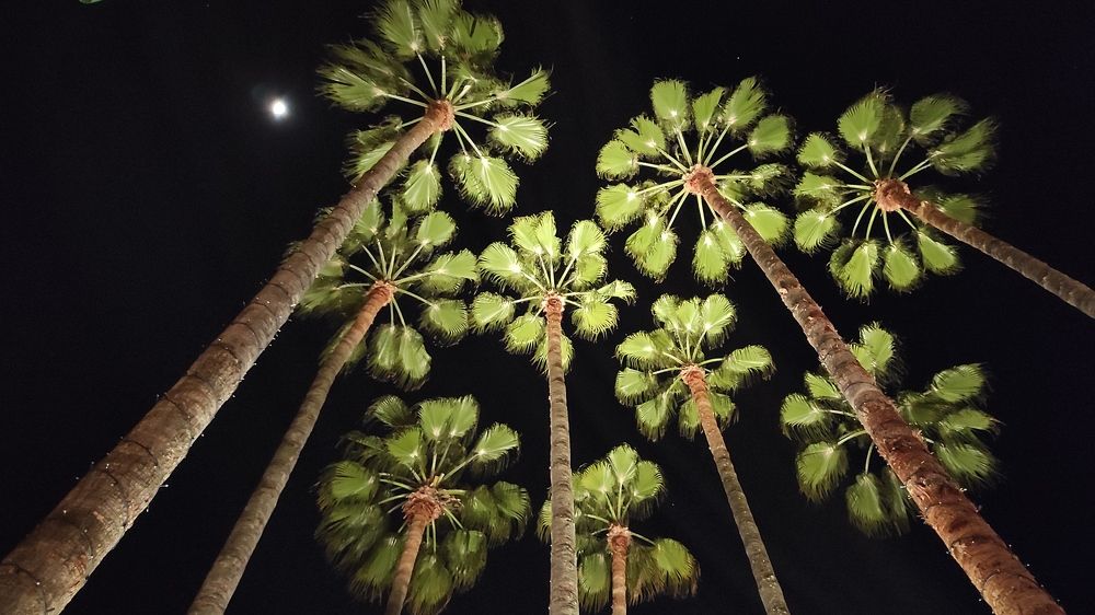 Photograph by Lidija Jevremovic