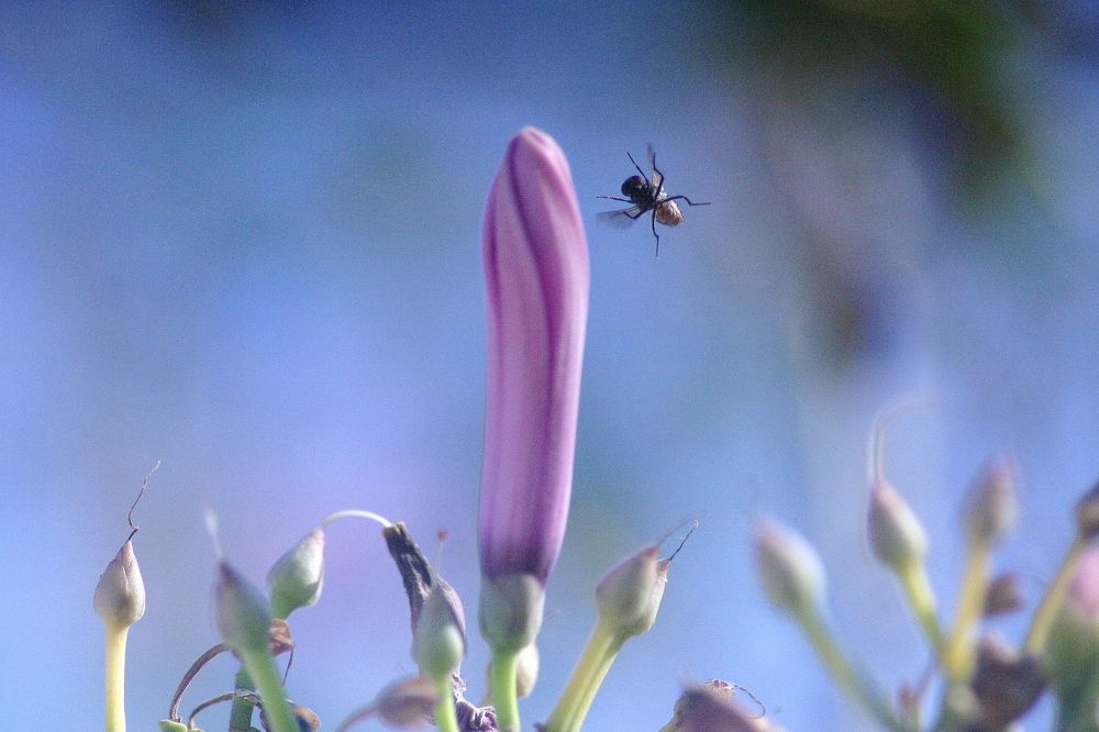 Photograph by MAHMOOD AKBAR