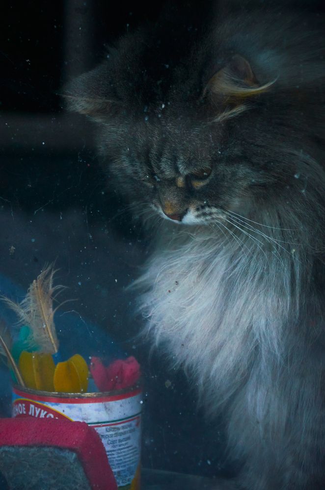 Photograph by Лена