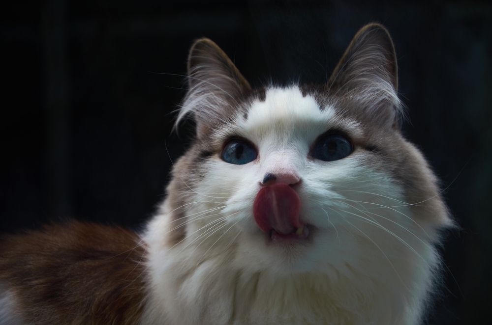 Photograph by Лена