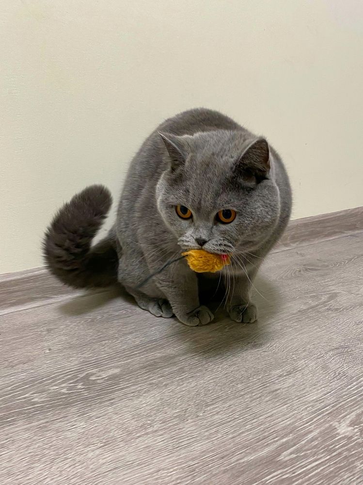 Photograph by Мария Чернецова