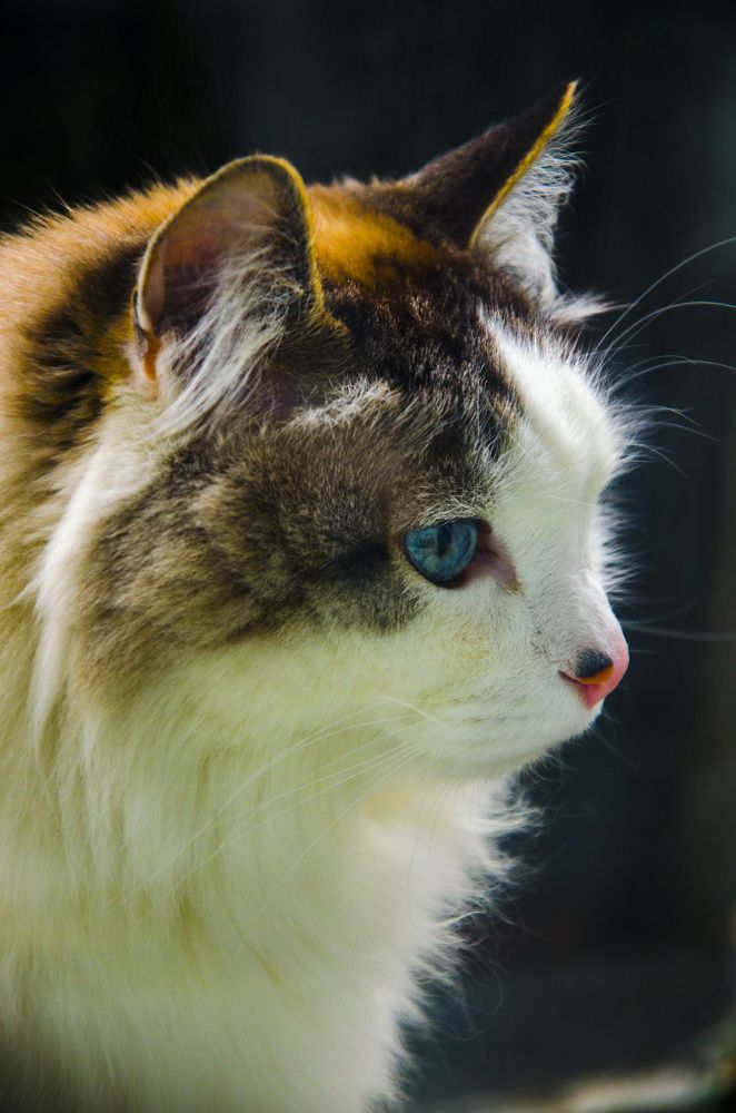 Photograph by Лена