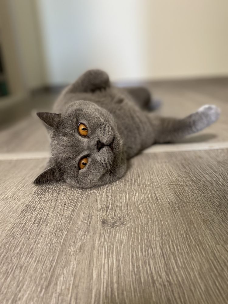 Photograph by Мария Чернецова