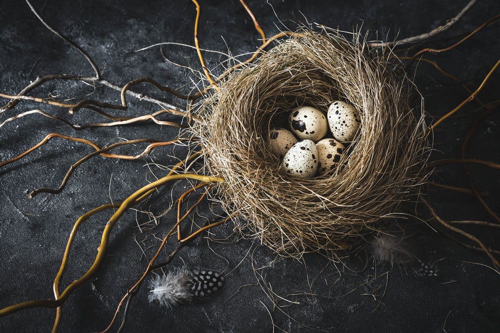 Photograph by Květa Trčková