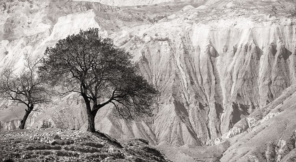 Фотография автора Сергей Сынтин