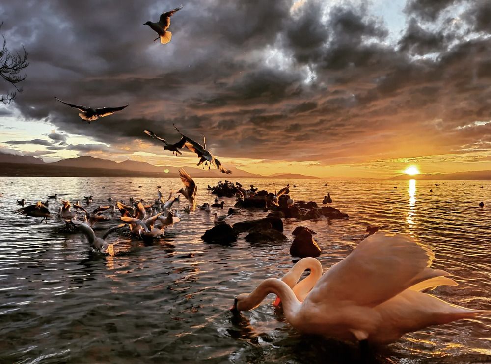 Photograph by Kristina Frizyuk