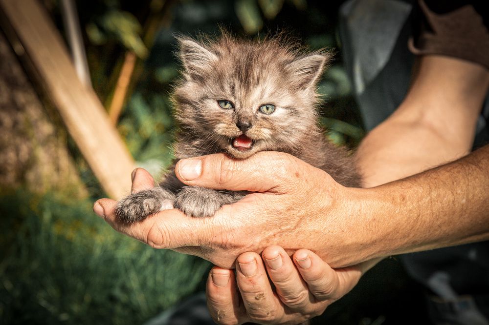 Photograph by Людмила Казак