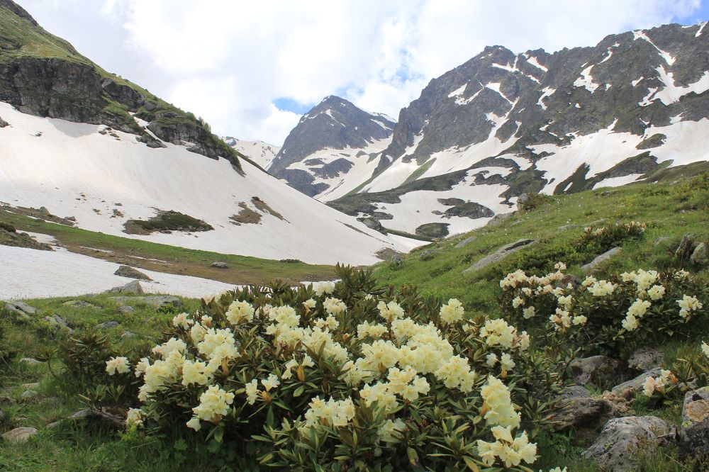 Photograph by Владимир