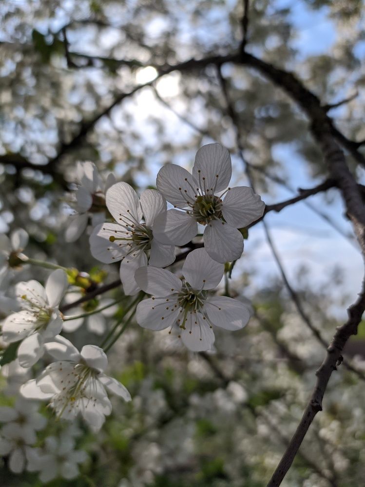 Photograph by Валерія Колосович