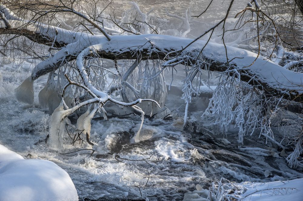 Photograph by АНДРЕЙ АБАКУМОВ