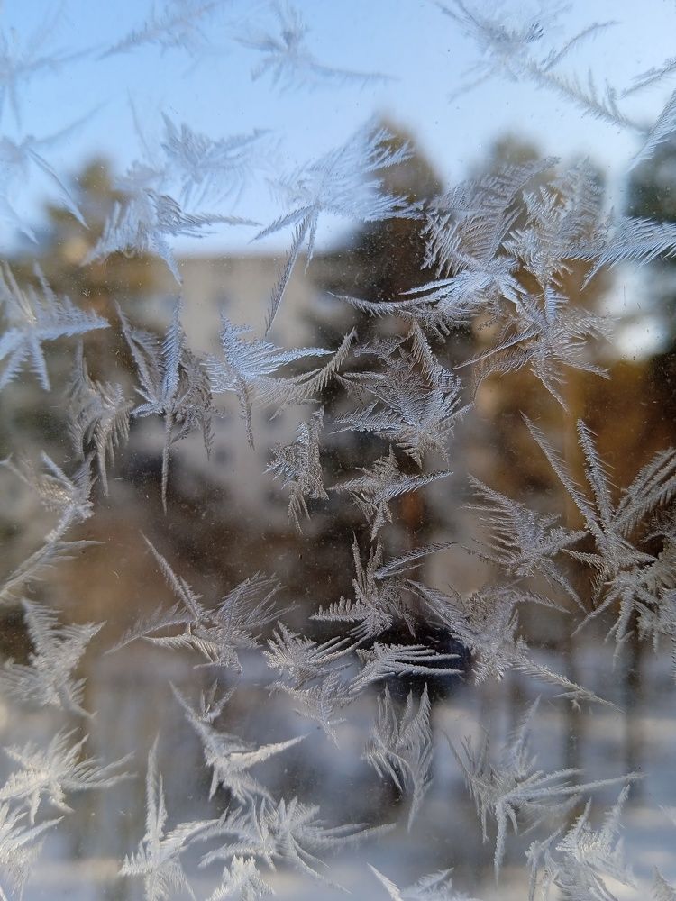 Photo #8937265