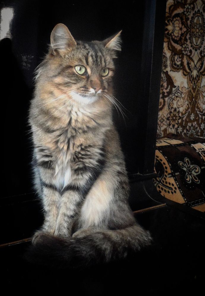 Photograph by Елизавета Карюченко