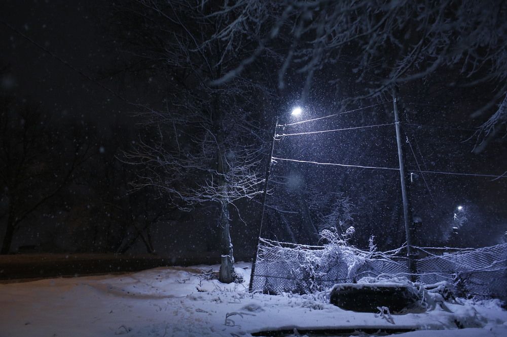 Photograph by Панькина Мария