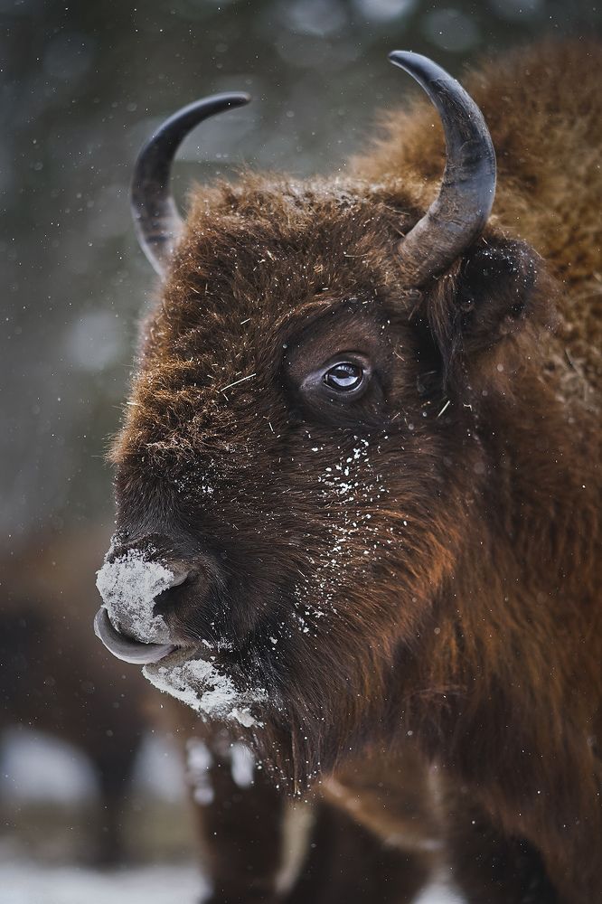 Photograph by Тябин Владислав