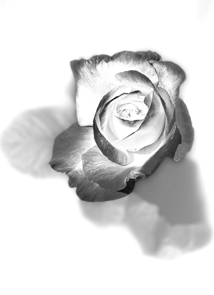 Фотография автора ГУЗАЛИЯ ГАНИЕВА