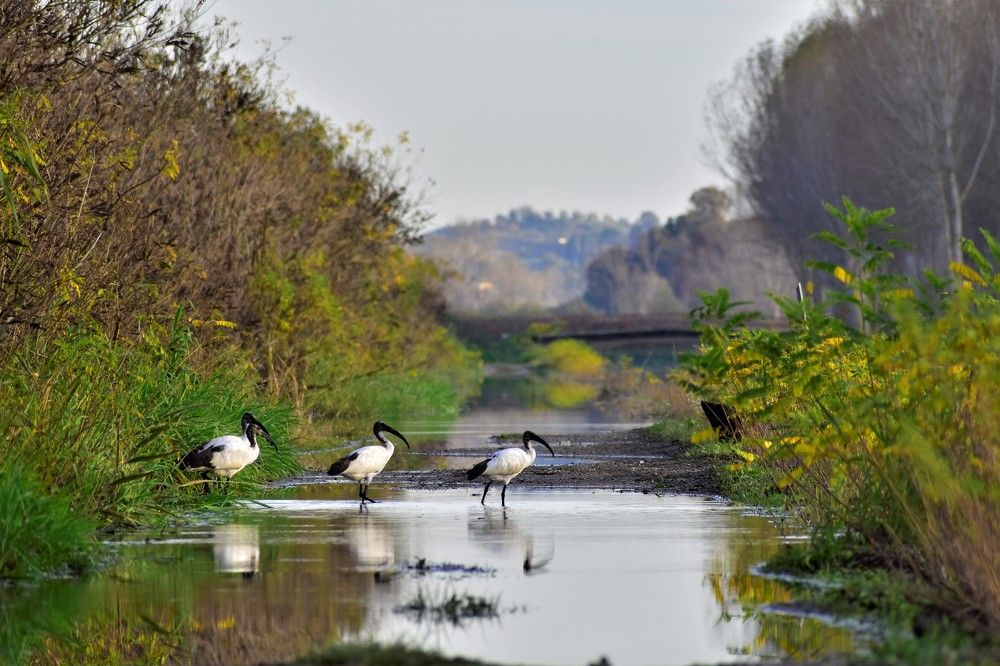 Photograph by Мерзликина Надежда