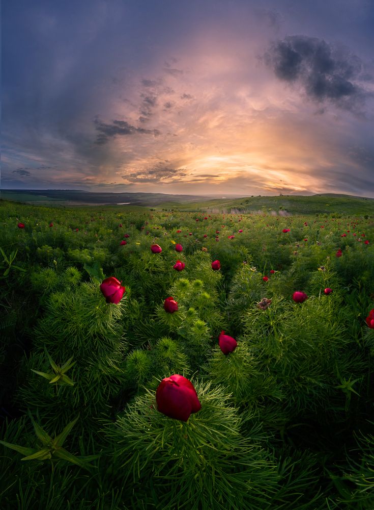 Photograph by Светлана Иванова