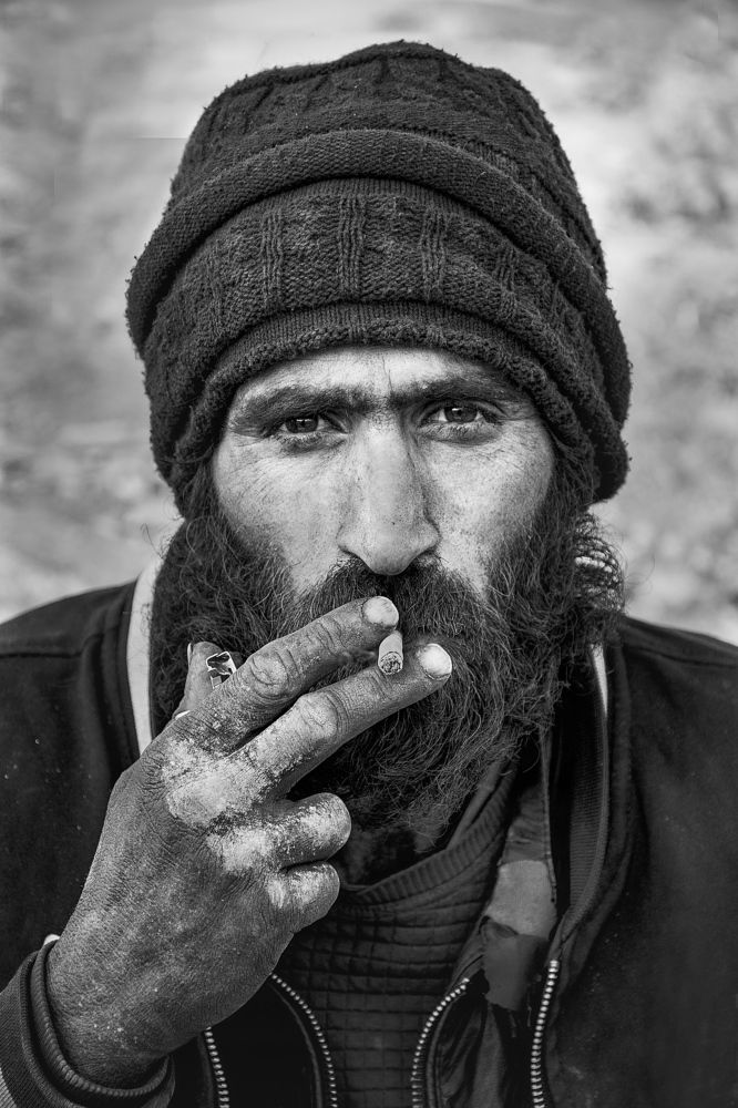 Photograph by mehdi shirvani