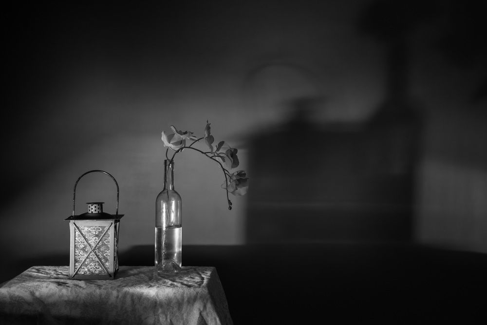 Photograph by Дарья