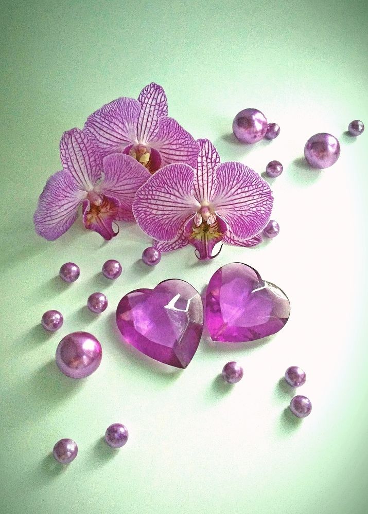 Photograph by Виолетта Рябова