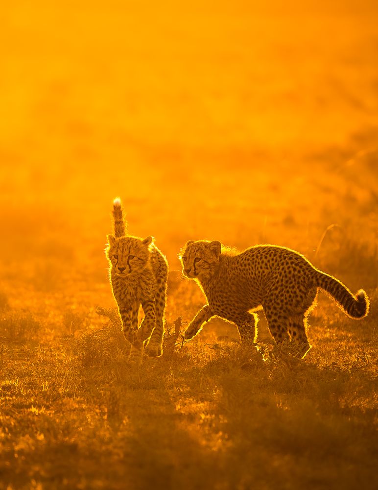 Photograph by Jayakumar MN