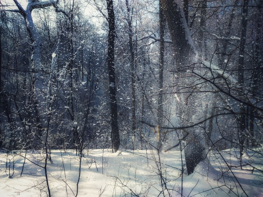 Фотография автора Александр Андреянов