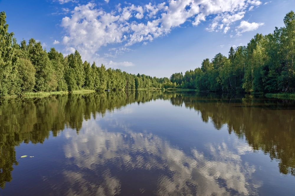 Фотография автора Дмитрий