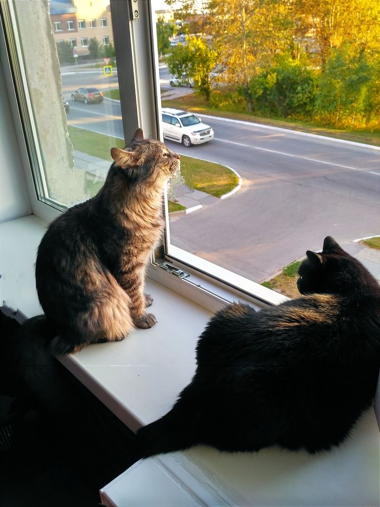 Photograph by Оксана Радзиевская