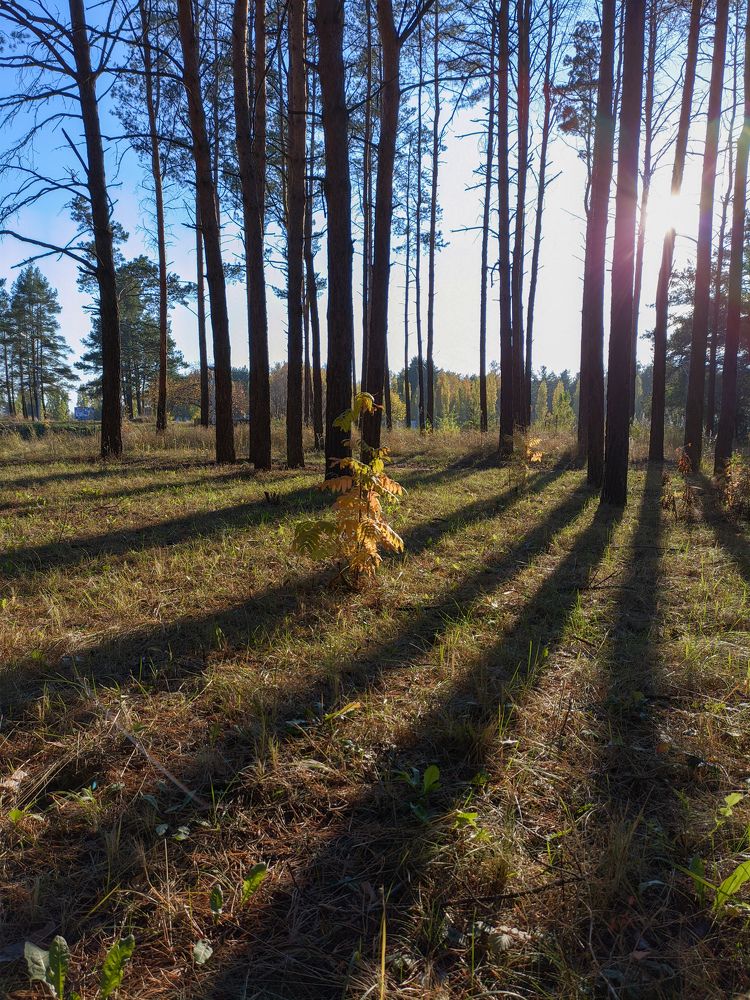 Photograph by Олег Медведев