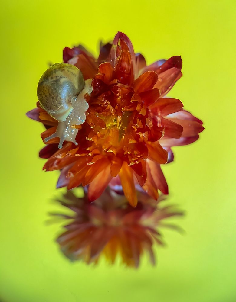 Photograph by Мария Чернецова