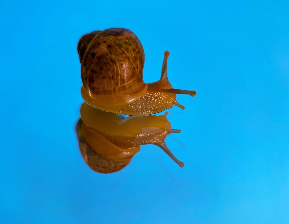 Photograph by Мария Чернецова