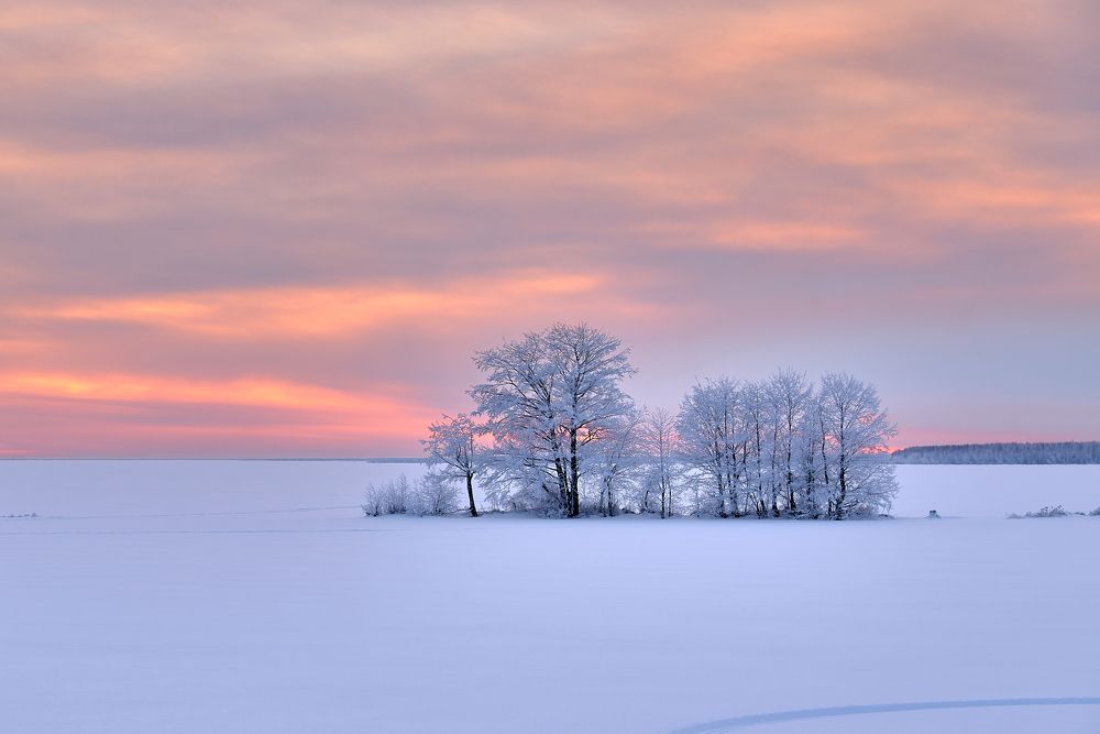 Photograph by Alla Matrosova