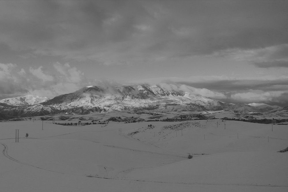 Photo #8937708