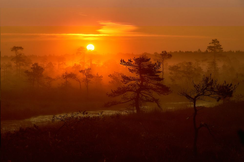 Photograph by Alla Matrosova