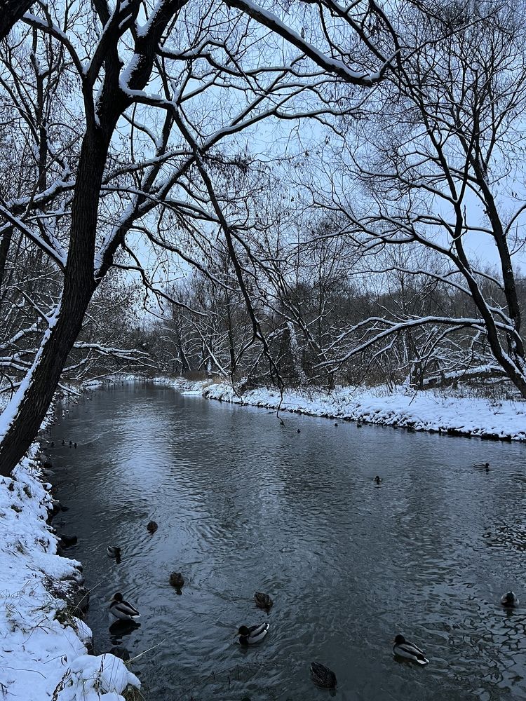 Photograph by Ирина Яковлева