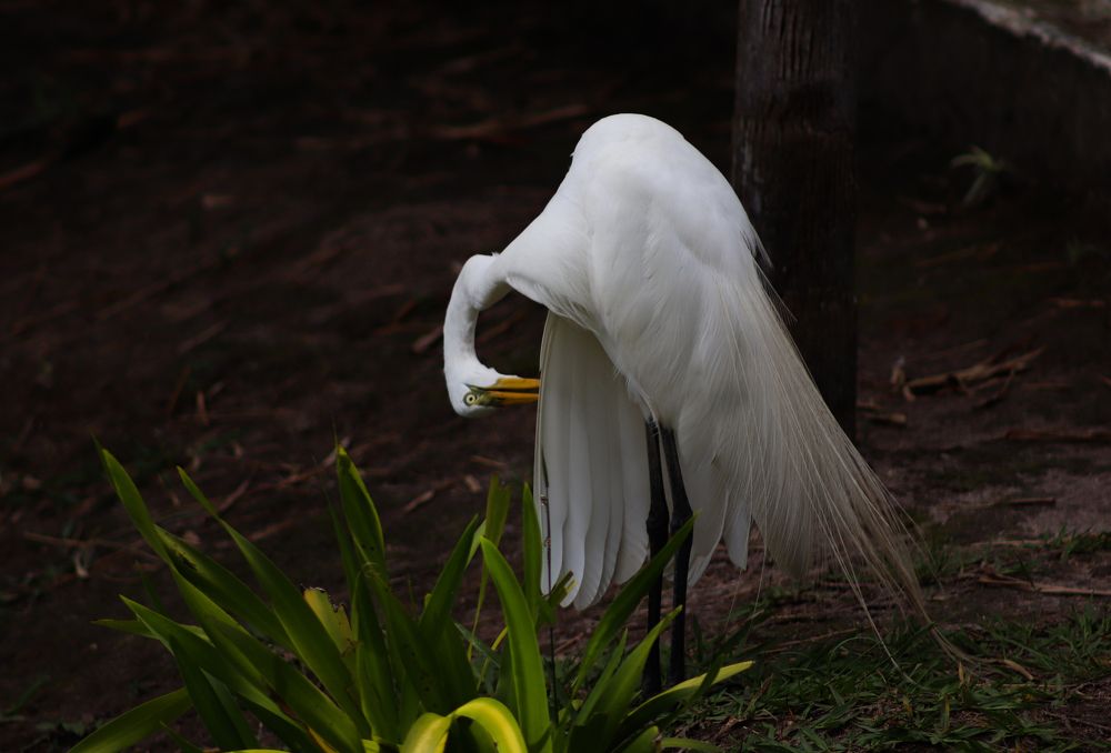 Photograph by Juliana